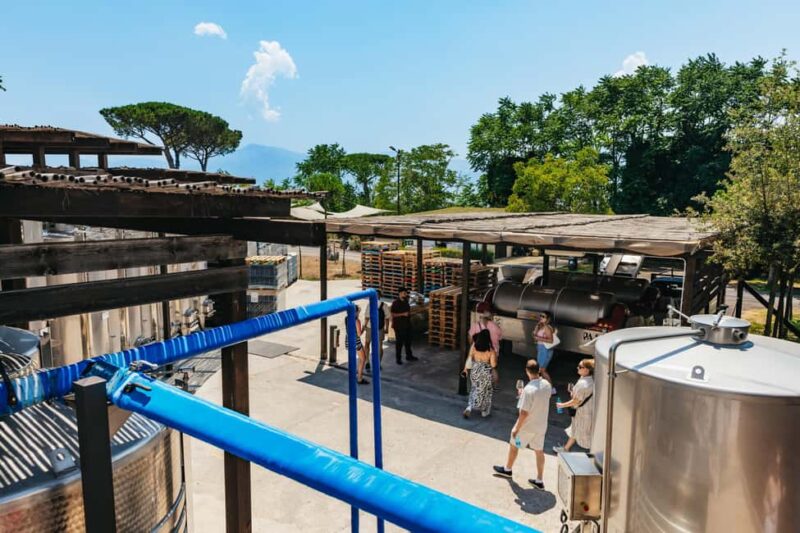 From Naples: Wine Tasting Tour on Vesuvius Slopes with Lunch - Experience Flexibility and Booking Options