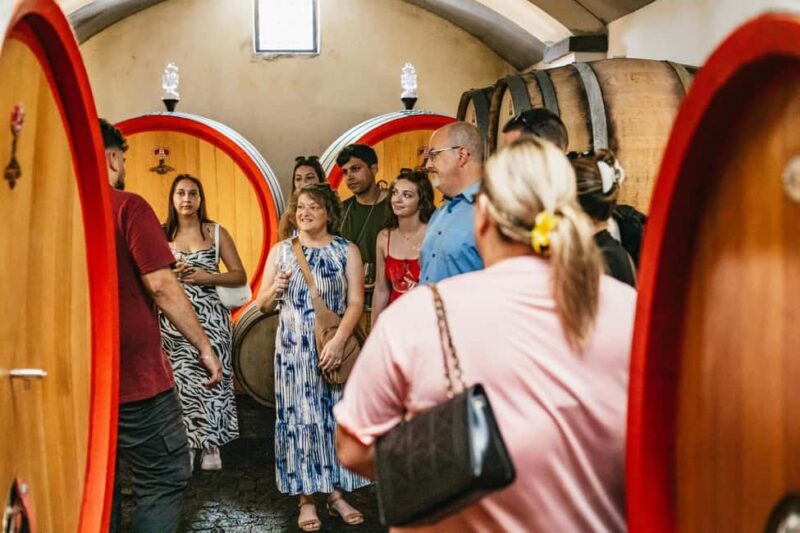 From Naples: Wine Tasting Tour on Vesuvius Slopes with Lunch - The Overall Experience: Authentic, Scenic, and Educational