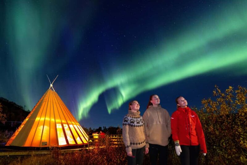 From Narvik: The Northern Lights Arctic Train Guided Tour - The Chances of Seeing the Northern Lights