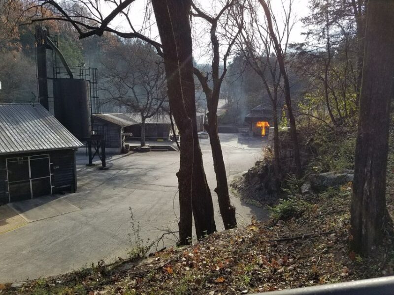 From Nashville: Lynchburg Jack Daniel's Distillery Tour - Reviews Highlighting the Tour Experience