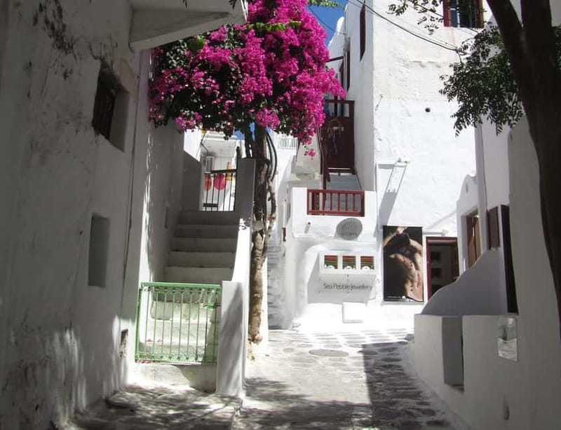 From Naxos: Round day trip to Mykonos Island - Six Hours of Free Time to Immerse Yourself