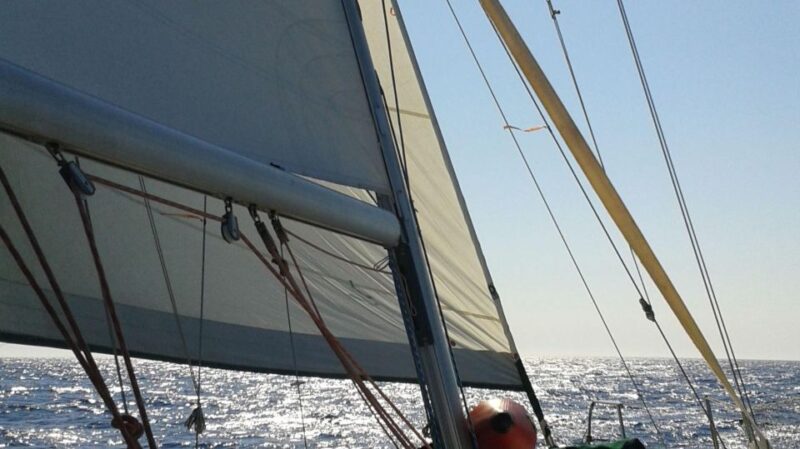 From Neos Marmaras: Halkidiki Islets and Coves Cruise - Logistics and Group Dynamics