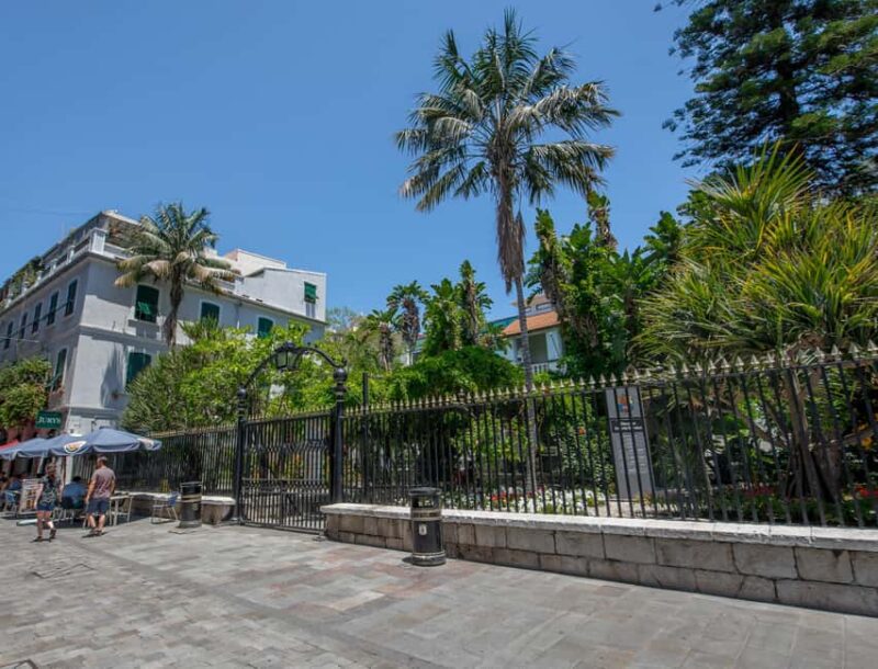 From Nerja/Almunecar: Gibraltar Day Trip - Discover Gibraltar on a Day Trip from Nerja and Costa Tropical