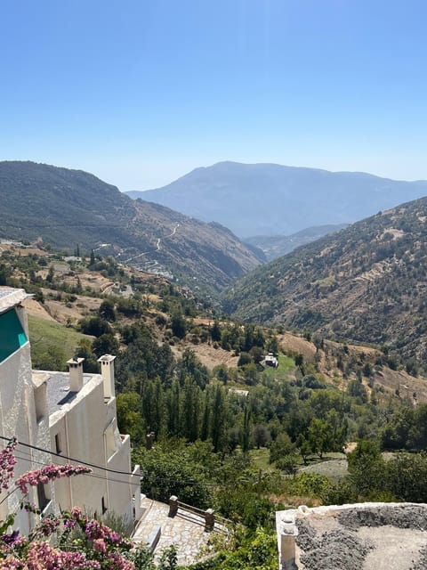 From Nerja/Almunecar: Sierra Nevada and Alpujarra day trip - Who Will Appreciate This Tour Most
