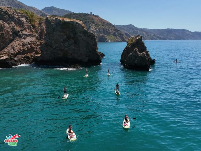 From Nerja: Guided Paddle Surf Cliffs and Maro Waterfall - Underwater Discoveries and Marine Life Encounters