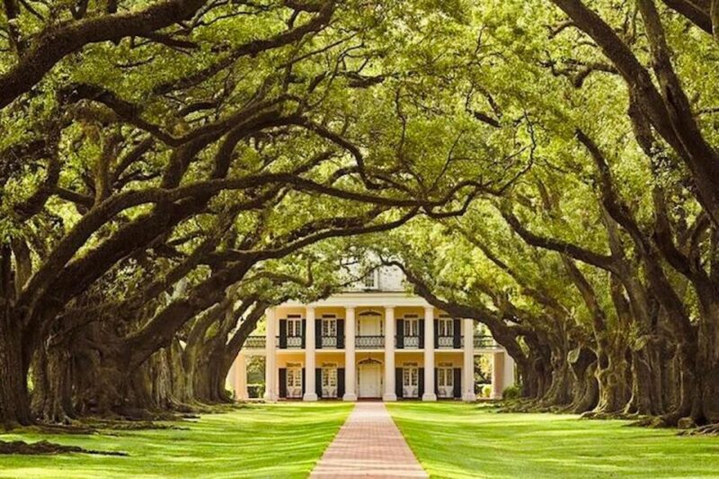 From New Orleans: Oak Alley or Laura Plantation Tour - Discover Louisiana Plantations with a 5-Hour Tour from New Orleans