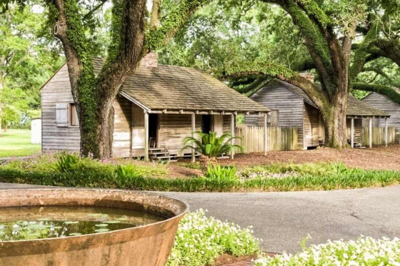 From New Orleans: Oak Alley Plantation Tour - The Grounds and Main House at Oak Alley