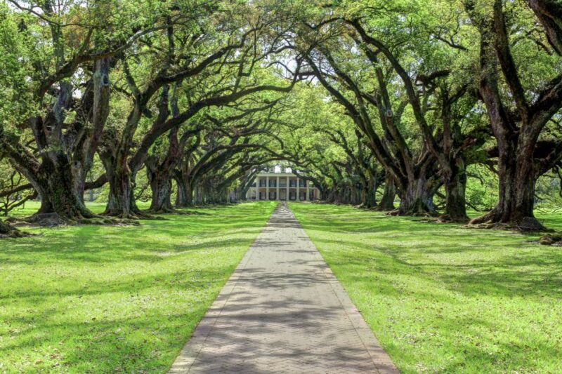 From New Orleans: Oak Alley Plantation Tour - The Historic Significance of Oak Alley