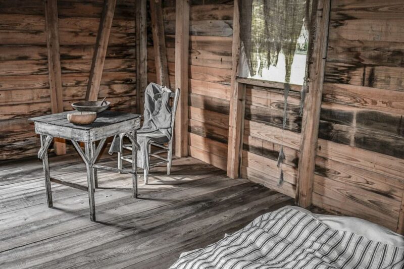 From New Orleans: Oak Alley Plantation Tour - The Overall Experience and Visitor Feedback