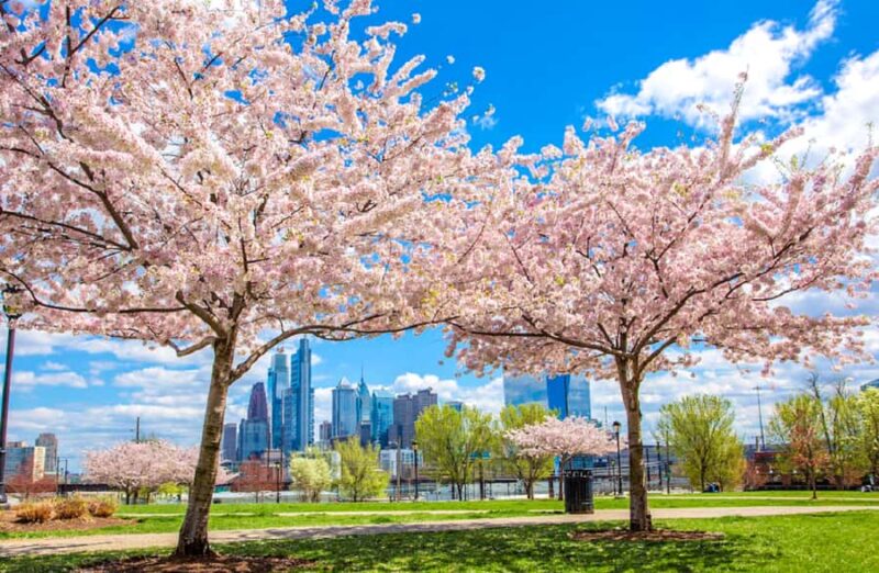 From New York: Philadelphia Cherry Blossom 1-Day Trip - Departure and Pickup Logistics in New York