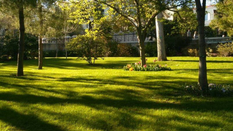 From Nice: Day Trip to Monte Carlo and Monaco Coast - Touring the Hilltop Village of Eze and Perfume Making