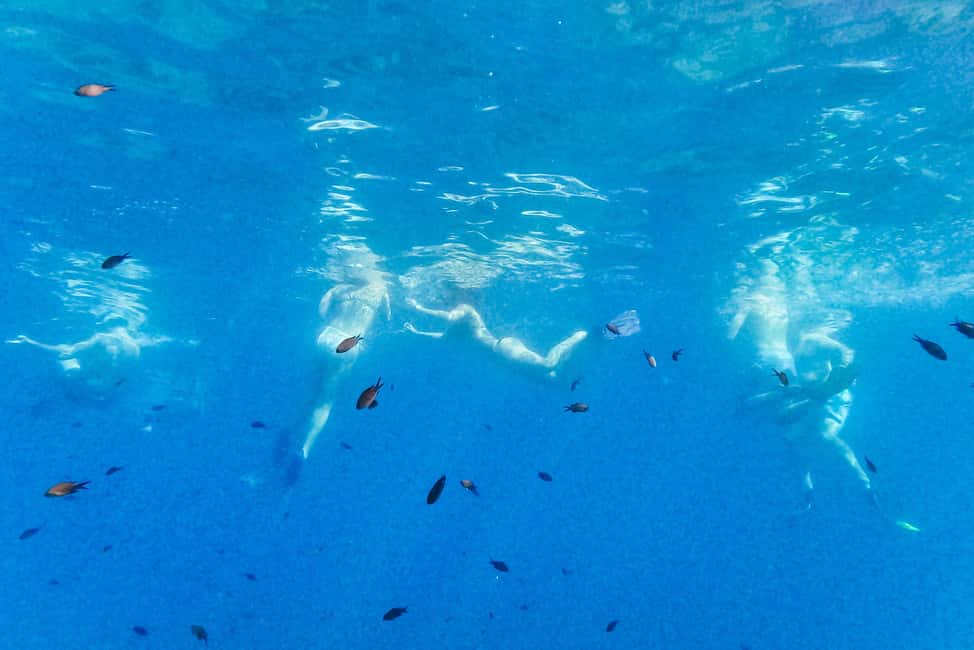 From Nice: French Riviera Swimming and Snorkeling Cruise - The Experience Guides and Customer Service