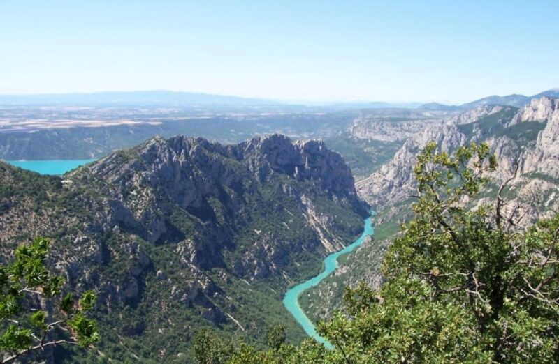 From Nice: Gorges du Verdon Guided Tour - Lavender Fields in Bloom: A Fragrant Spectacle