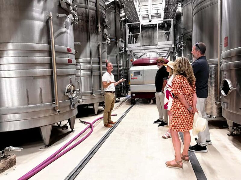 From Nice: Half-Day Wine Tour in the Bellet Wine Region - Scenic Landscapes and Photographic Opportunities