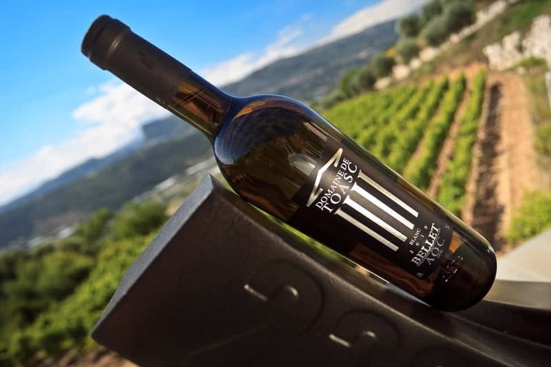From Nice: Half-Day Wine Tour in the Bellet Wine Region - What’s Included and What to Bring