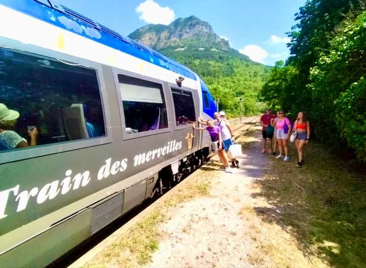 From Nice: Historic Train Ride & Alps Villages - Physical Requirements and Accessibility