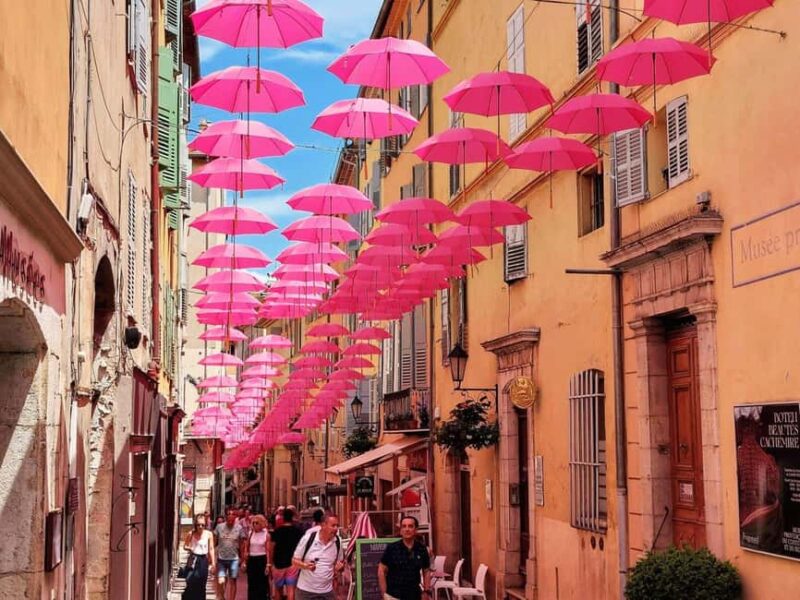 From Nice or Cannes: Private Guided Tour to Grasse & St-Paul - Key Points