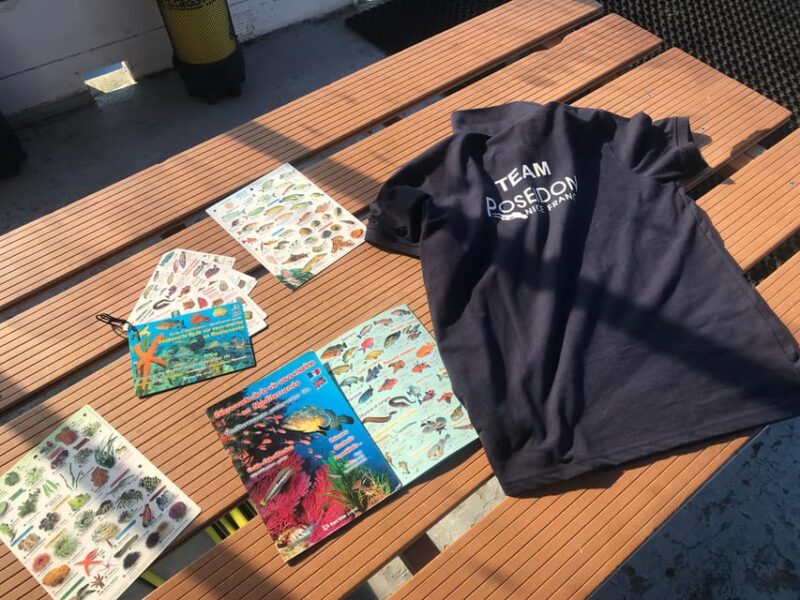 From Nice: Villefranche Bay Swimming & Snorkeling Boat Tour - Safe Stop at Villefranche Bay or St Jean Cap Ferrat