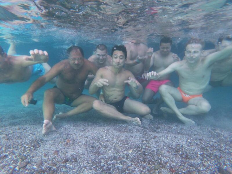 From Nueva Vallarta: Marietas Islands Hidden Beach Tour - Wildlife Watching: Whales, Turtles, and Bird Species