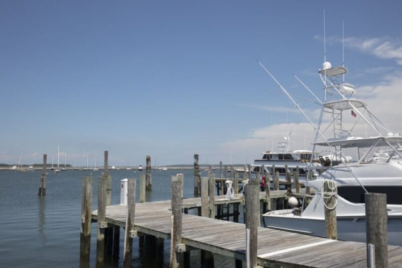 From NYC: Hamptons, Sag Harbor, and Outlet Shopping Day Trip - Enjoying Long Island’s Vineyards