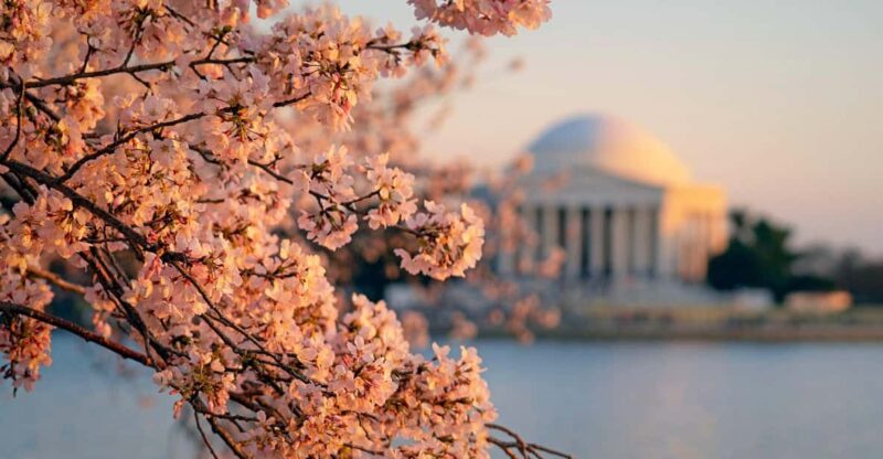 From NYC: Niagara Falls, Washington DC and Boston 4-Day Trip - Visiting Washington DC’s Key Landmarks