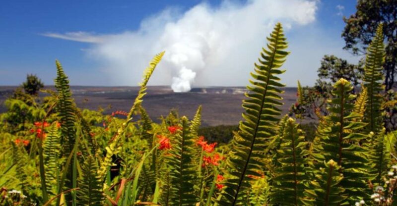 From Oahu: Big Island Volcano Adventure - Key Points