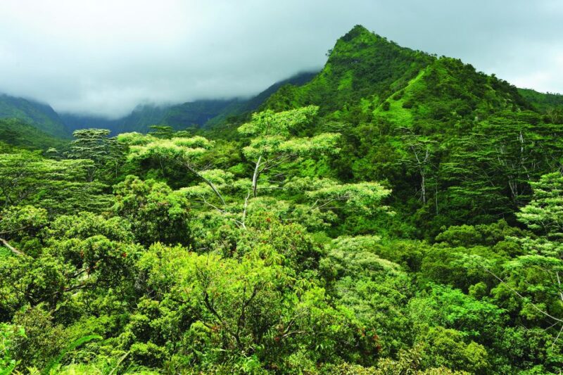 From Oahu: Kauai Highlights & Movie Sites - Pricing and Value Considerations