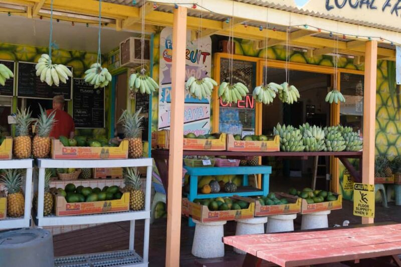 From Oahu: Kauai Waimea Canyon and Koke'e Adventure Tour - Visiting the Kauai Coffee Plantation and Tasting