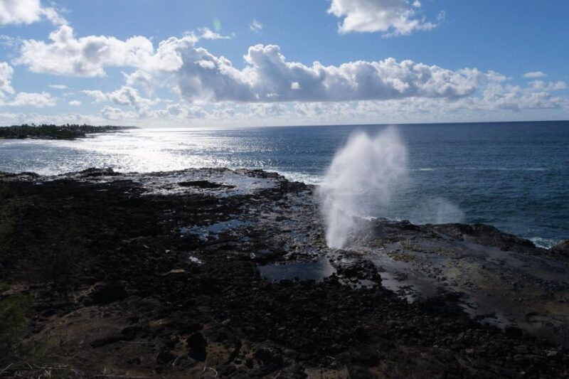 From Oahu: Kauai Waimea Canyon and Koke'e Adventure Tour - Practical Details: Accessibility, Timing, and What to Bring