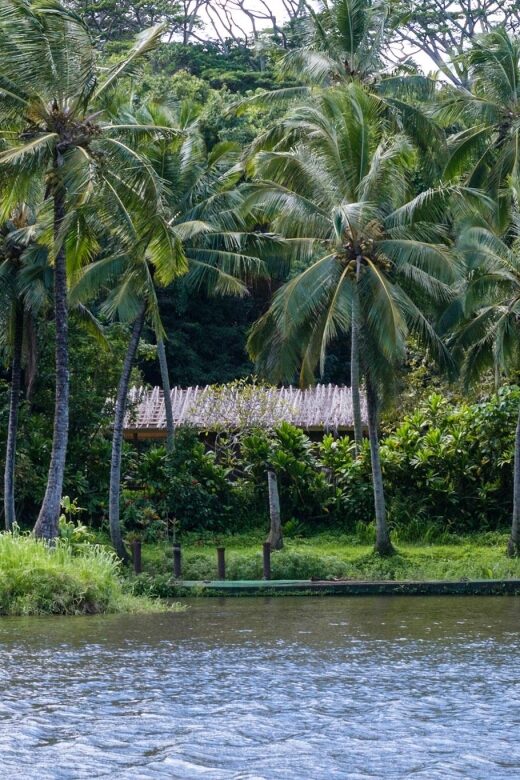 From Oahu: Kauai Waimea Canyon & Wailua River Tour - Wailua River Cruise and the Fern Grotto