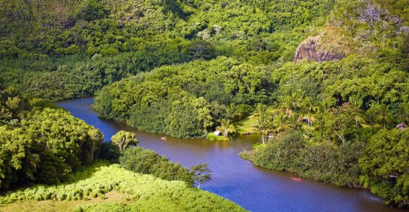 From Oahu: Kauai Waimea Canyon & Wailua River Tour - Practical Details, Group Size, and Accessibility