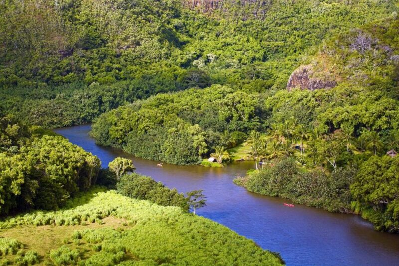 From Oahu: Kauai Waimea Canyon & Wailua River Tour - Pacing, Timing, and Tour Experience