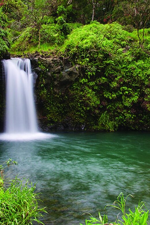 From Oahu: Maui Road to Hana Sightseeing Tour - Savor Farm-to-Table Lunch at Hana Farms
