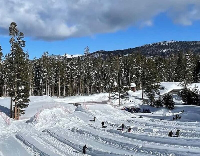 From Oakland: Full Day Lake Tahoe Tour - Comparing Similar Experiences and Alternatives