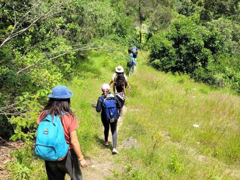 From Oaxaca: Apoala Magic Waterfalls Hike & Swim Adventure - Camping and Nighttime Experience in Apoala