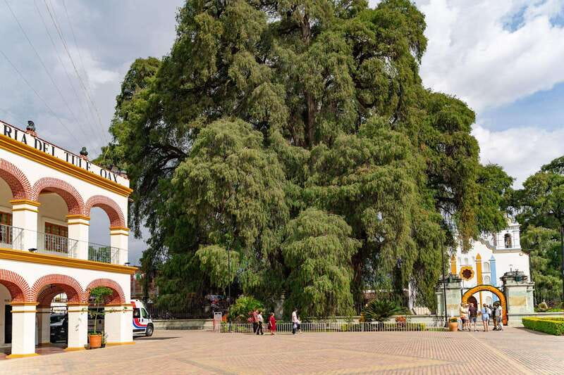 From Oaxaca: City, Mitla, and Mezcal Factory Tour - Explore Oaxaca’s Cultural Gems in One Day