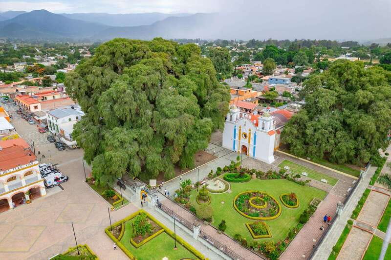 From Oaxaca: City, Mitla, and Mezcal Factory Tour - Key Points