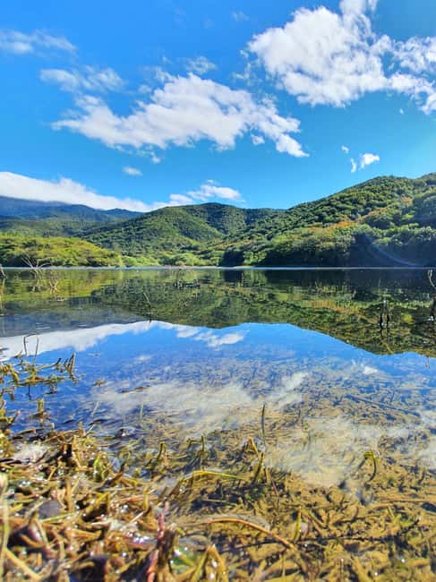 From Oaxaca: MTB Guided Bike Tour, Tule Tree & Lake Half-Day - Key Points