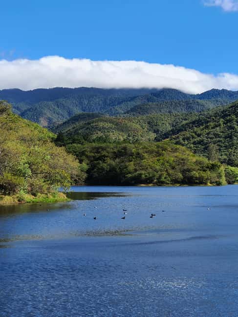 From Oaxaca: MTB Guided Bike Tour, Tule Tree & Lake Half-Day - Practical Details and What’s Included