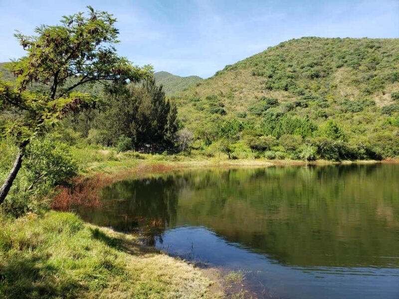 From Oaxaca: MTB Guided Bike Tour, Tule Tree & Lake Half-Day - Who Will Appreciate This Tour Most?