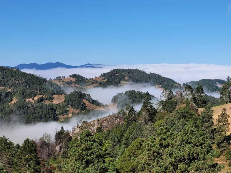 From Oaxaca: Sierra Norte Hike & Indigenous Village Full-Day - Key Points