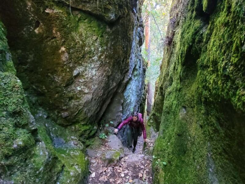 From Oaxaca: Sierra Norte Hike & Indigenous Village Full-Day - Frequently Asked Questions