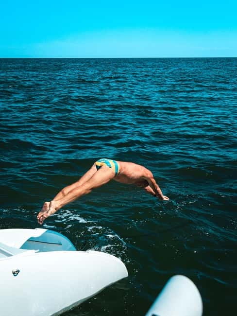 From Obzor, Bulgaria: Half-Day Black Sea Catamaran Cruise - Sailing Back to Nessebar with Dolphin Encounters