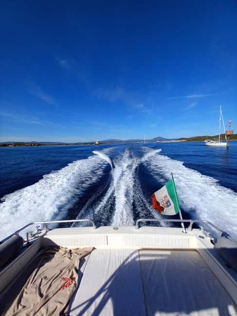 From Olbia: Tavolara and Molara Archipelago Boat Day - Wildlife Watching and Water Activities