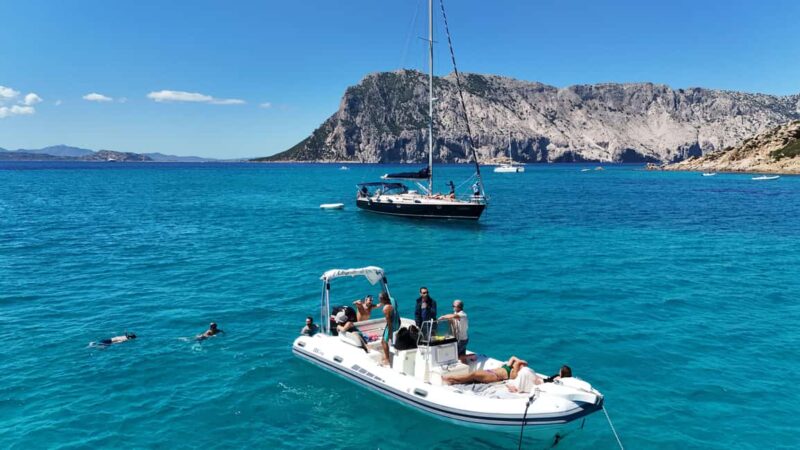 From Olbia: Tour to Tavolara, Molara, and Aperitif - Logistics and Practical Tips