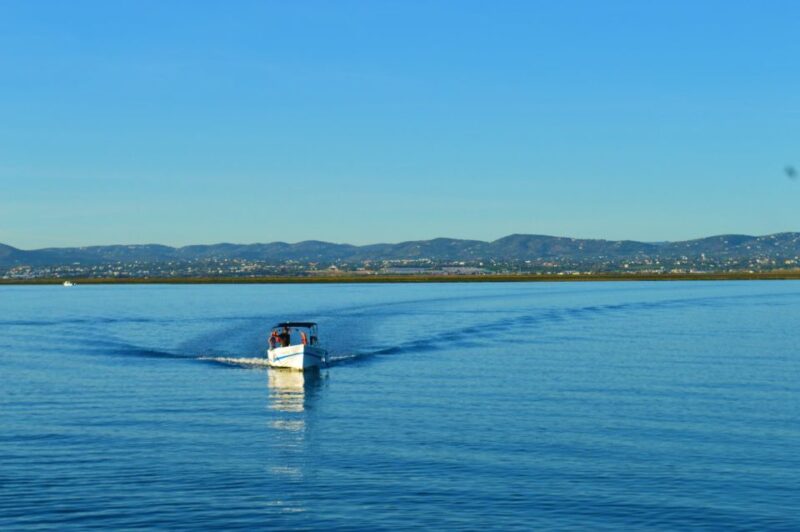 From Olhão: Ria Formosa 3-Island Full-Day Tour with Sunset - Culatra Island: Beach, Village, and Biodiversity