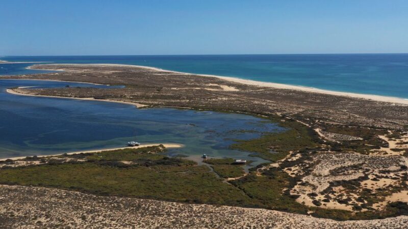 From Olhão: Ria Formosa 3-Island Full-Day Tour with Sunset - Armona or Deserta: Secluded Beaches and Wild Shores