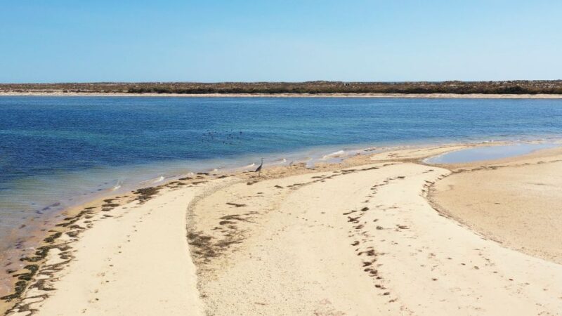 From Olhão: Ria Formosa 3-Island Full-Day Tour with Sunset - What Makes the Ria Formosa Islands Special
