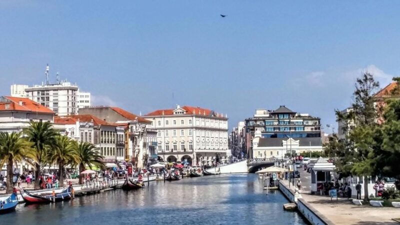 From Oporto: Aveiro Tour (4Hours) - Half Day - Discover Aveiro: The "Venice of Portugal" in Just 4 Hours