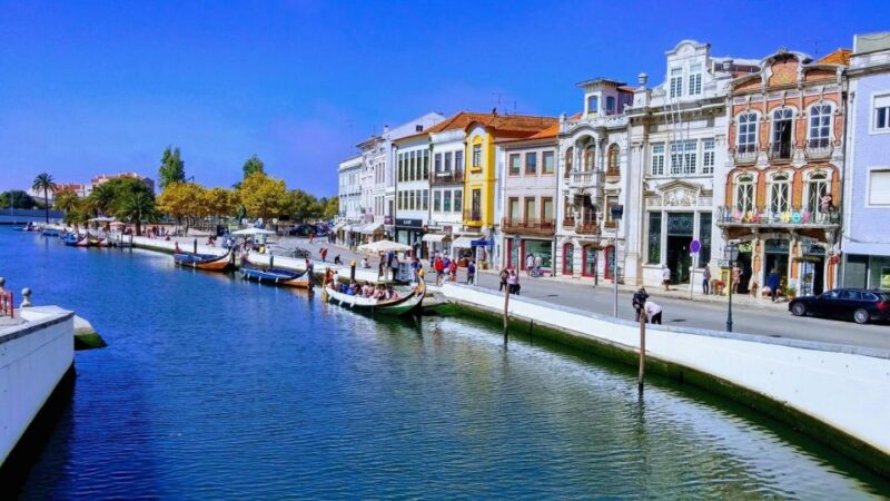 From Oporto: Aveiro Tour (4Hours) - Half Day - Who Will Appreciate This Tour the Most